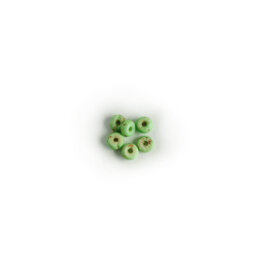 Luust pärlid, roheline, väikesed