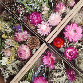 Eesti kuivatatud lilled ja taimed, MIX komplekt
