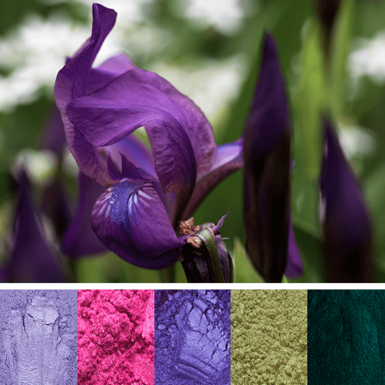 Mica pigmentide komplekt – Maagiline aed