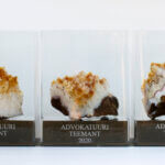 Erilised ärikingitused, millest räägitakse ka teistele.