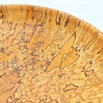Fungi-covered birch bowl