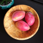 Fungi-covered birch bowl
