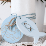 Kipsipulber Raysin 100